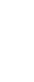 watermark